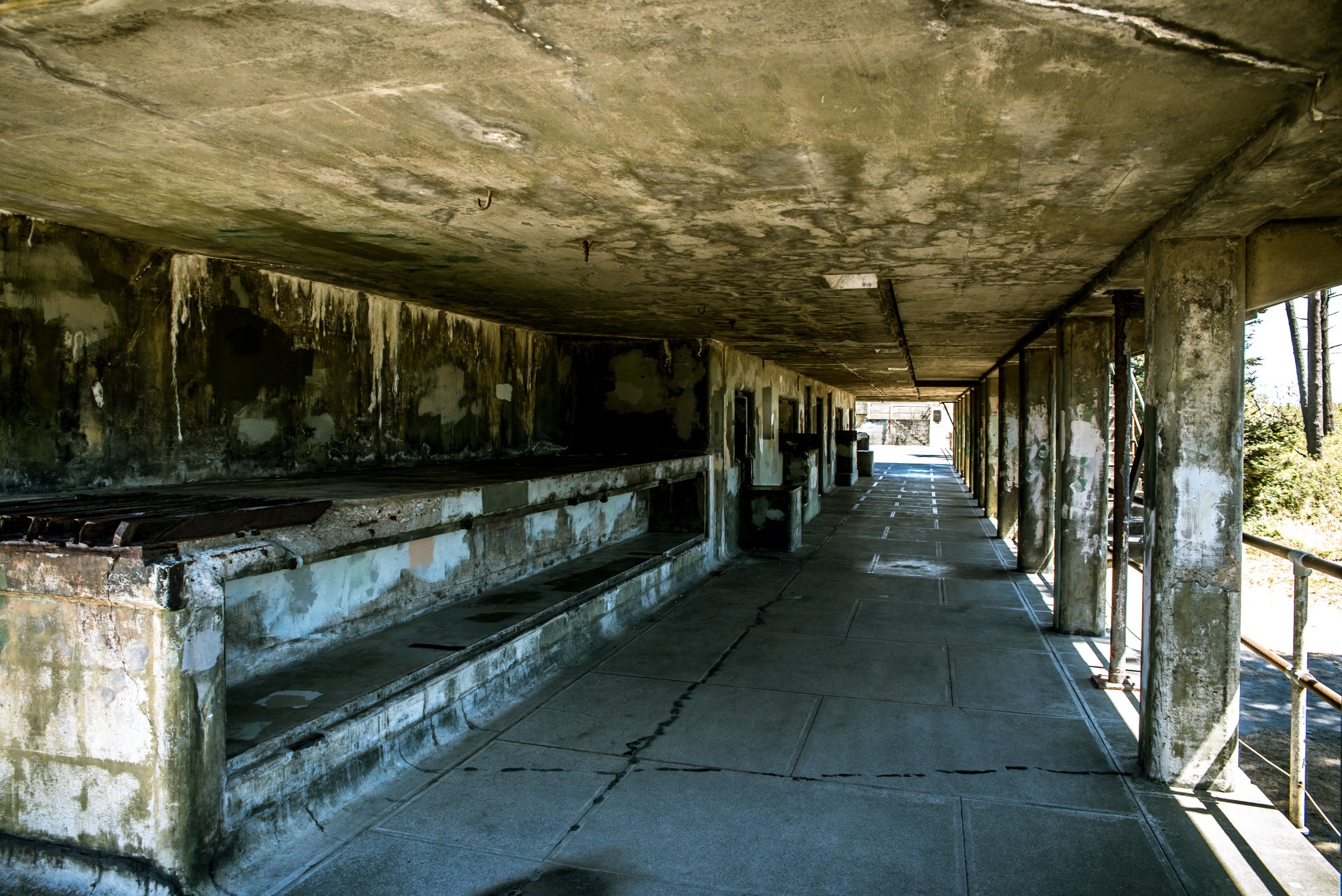 battery kinzie _ tom thompson.jpeg battery kinzie _ tom thompson.jpeg