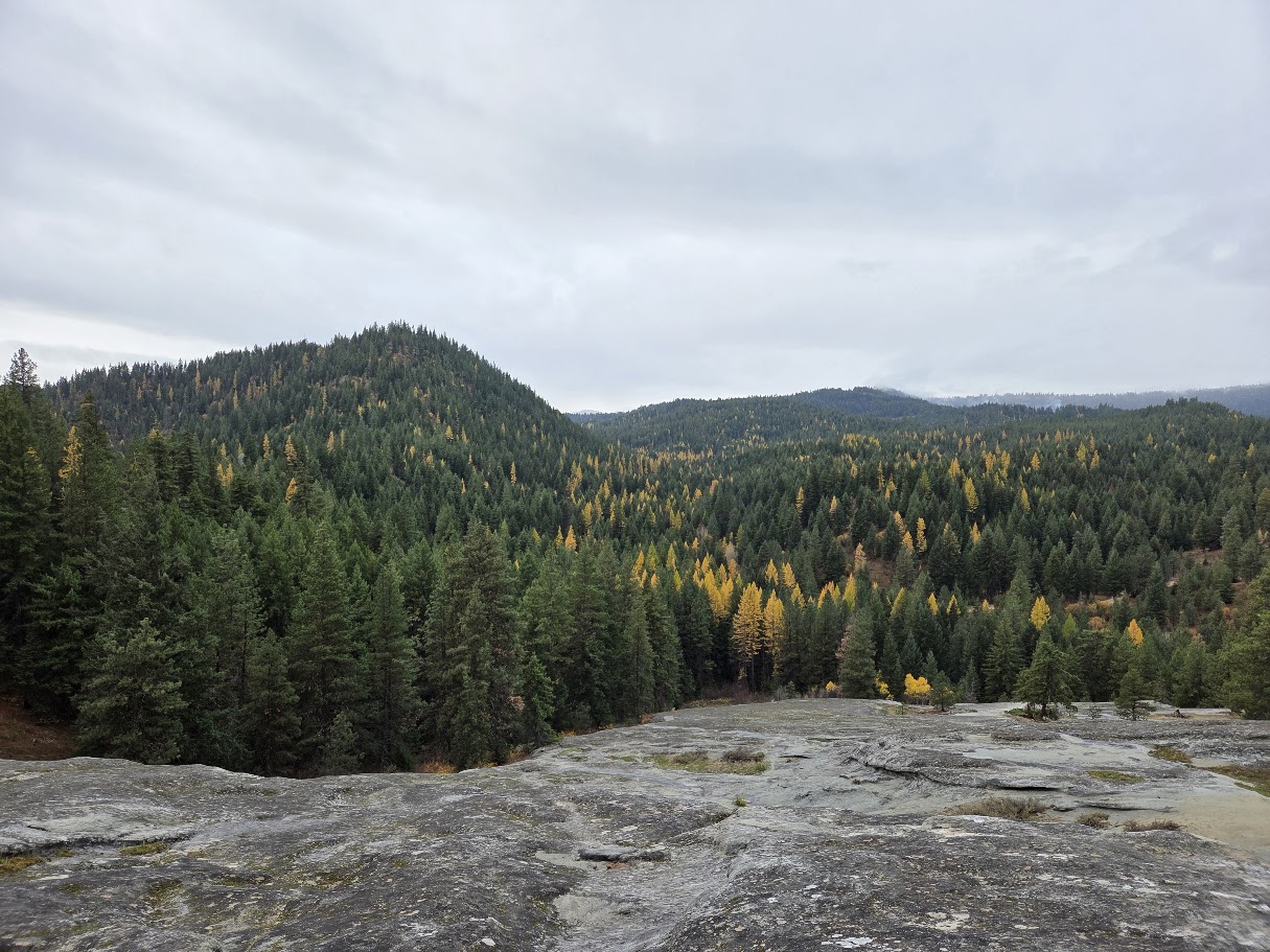 Cheese Rock 