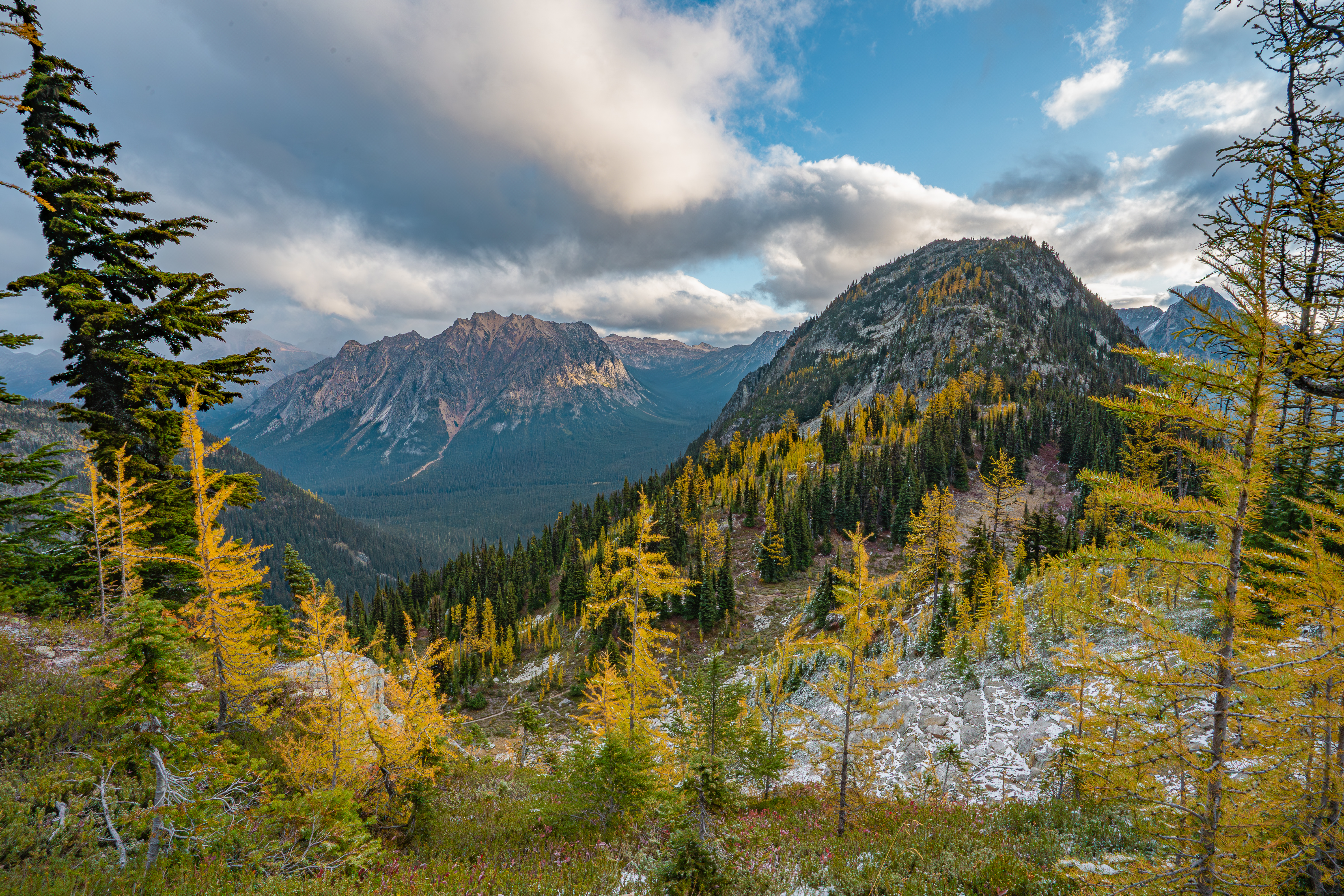 Yellow larches accent a rugged, mountainous landscape