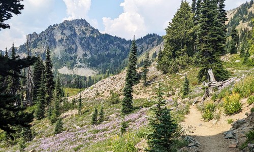 What's the Roadless Rule?