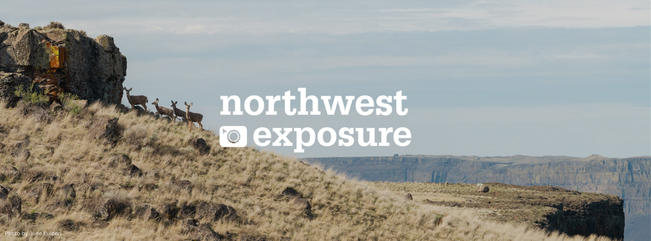 Western Washington landscape with cliffs, rivers and deer in the backgrand. Northwest Exposure Photo Contest in the center.