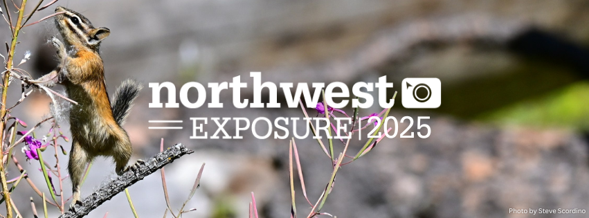 NWX 2025. Photo by Steve Scordino Chipmunk standing on tree brand with Northwest Exposure 2025 logo in center.