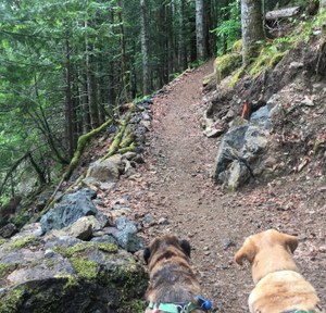 dry creek_charlie romine.jpeg