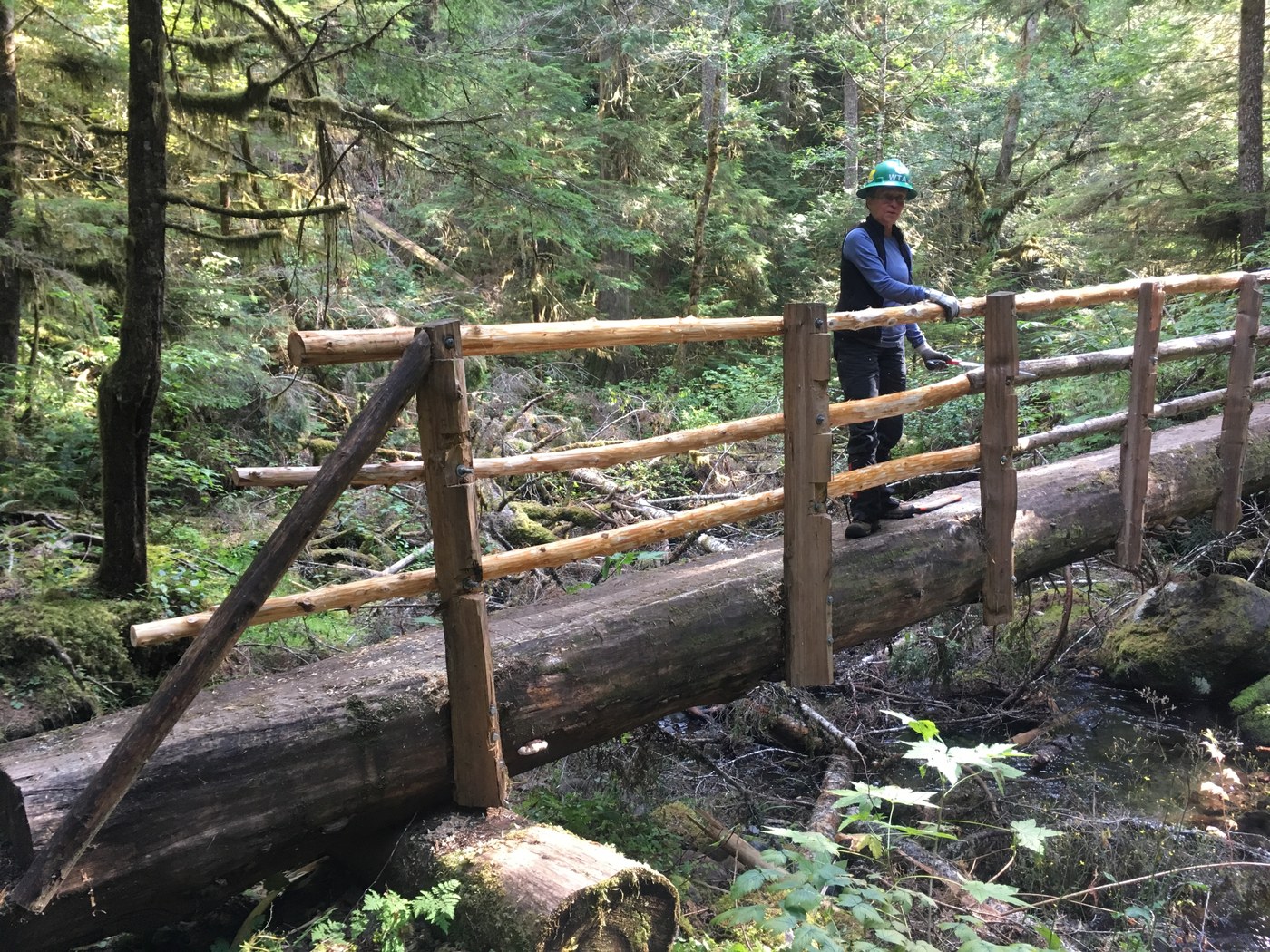 townsend creek bridge repair_charlie romine.jpeg townsend creek bridge repair_charlie romine.jpeg