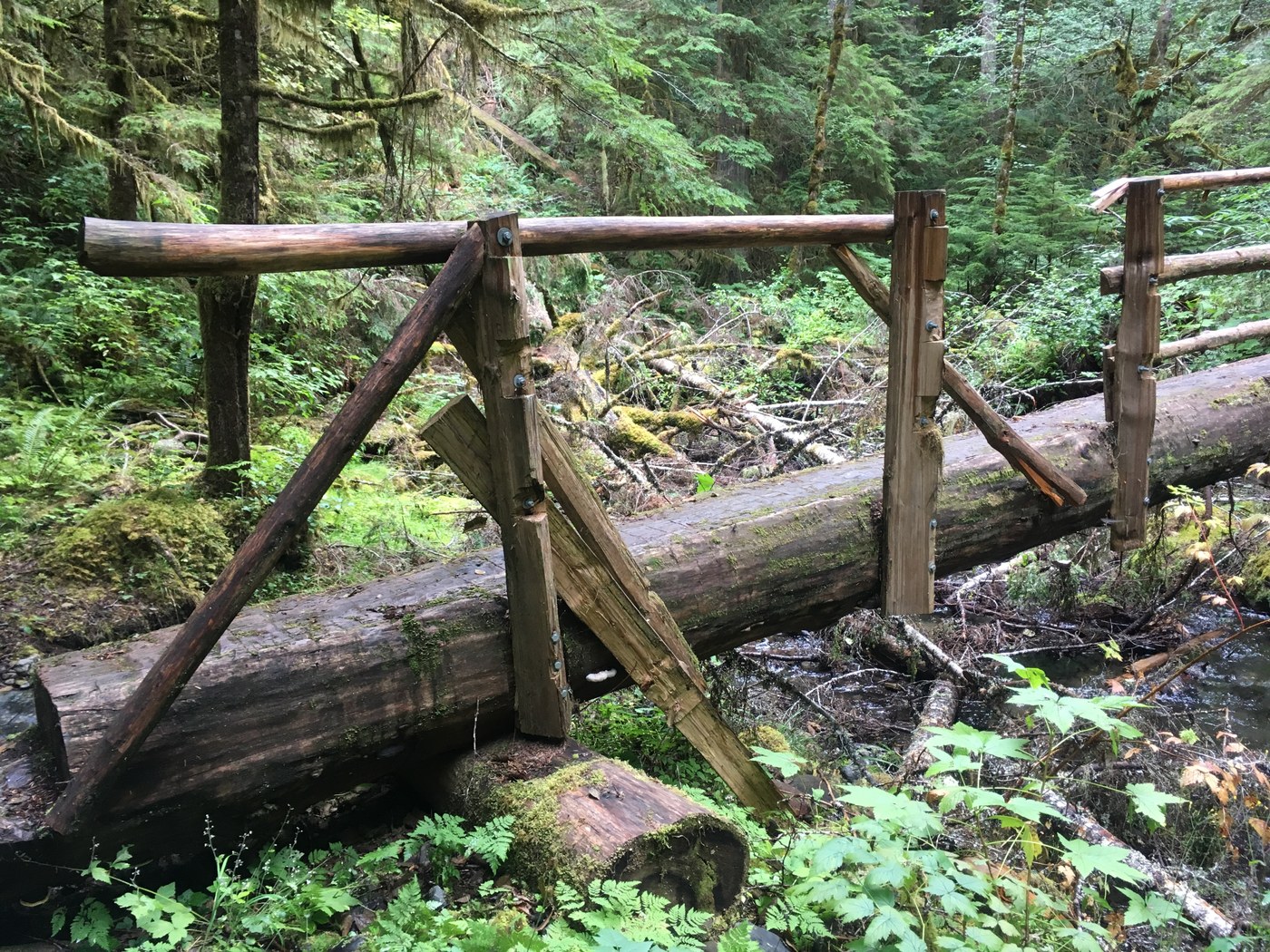 townsend creek bridge_charlie romine.jpeg