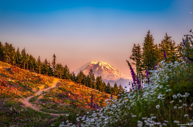 Crescendo 2026 image with credit_Photo by Kimberlee Rud (2).png