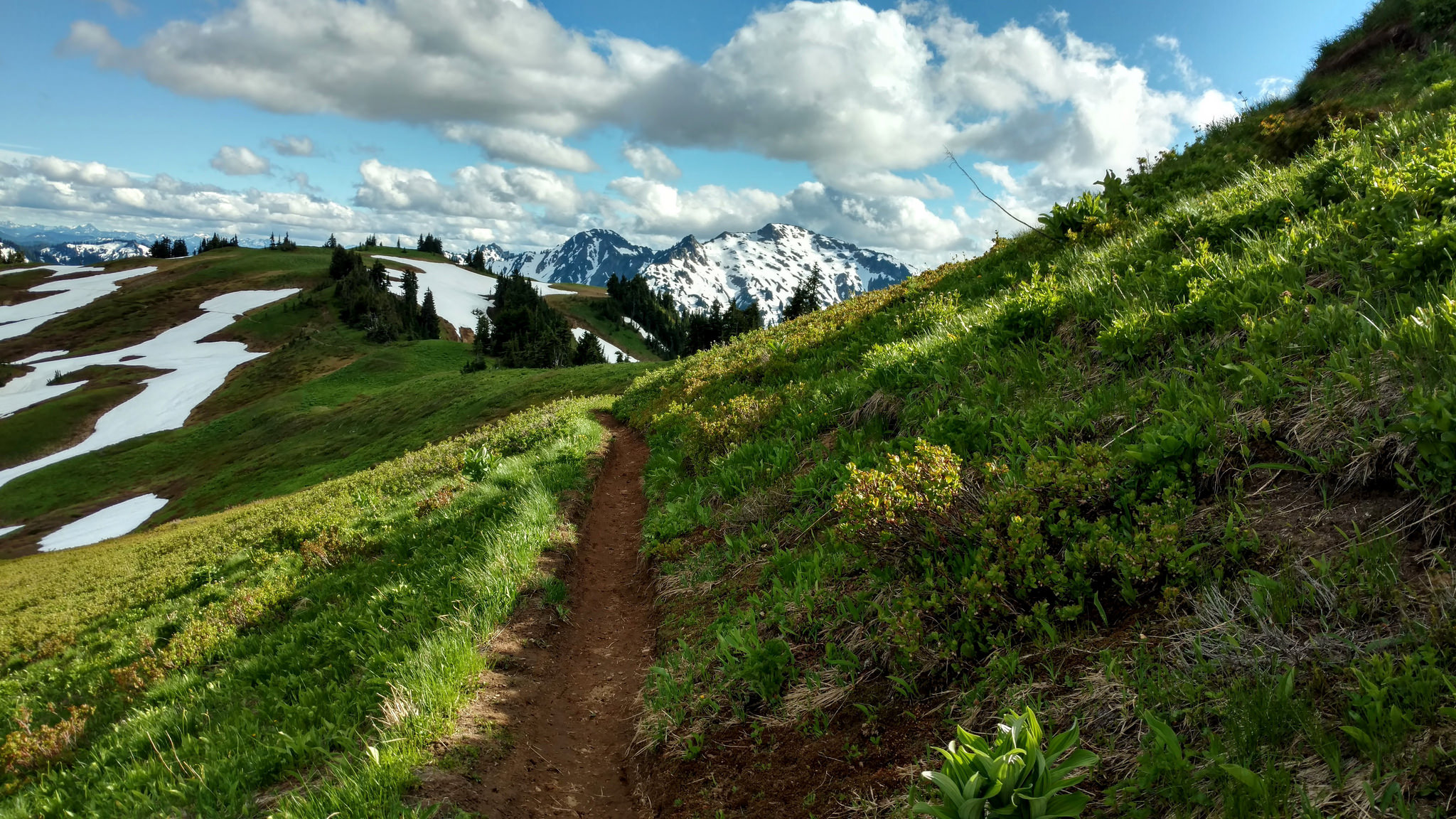 Foam Creek Trail by Grant Roush