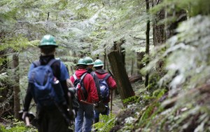 Pratt Lake Volunteers