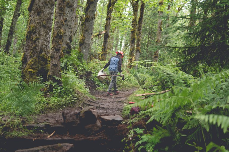 Volunteer in the distance. Photo by Britt Le. 