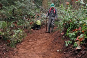 Example of finished new trail at Cougar Mountain. Photo by Mike Hardy.