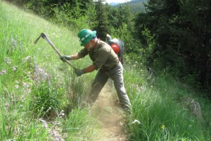Before tread work. Photo by Jane Baker.