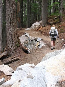 A hiker walks along the new stretch of the Glacier Basin Trail. Notice the rock and fill work done by WTA volunteers. Photo by Mike Hardy. 