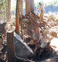WTA crews tackled huge obstacles, like this stump. Photo by Mike Hardy.