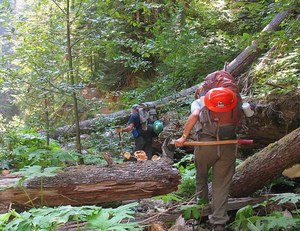 WTA volunteers and Forest Service crews have been tackling the hundreds of trails down over the Quartz Creek trail in the Gifford Pinchot National Forest. Photo by Ryan Ojerio.