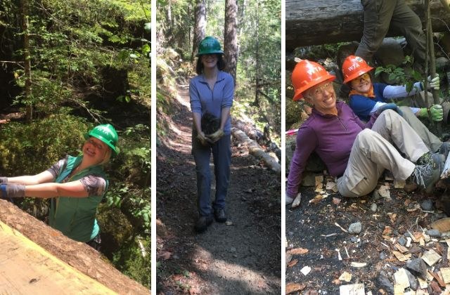 Untitled design(6).jpg Untitled design(6).jpg