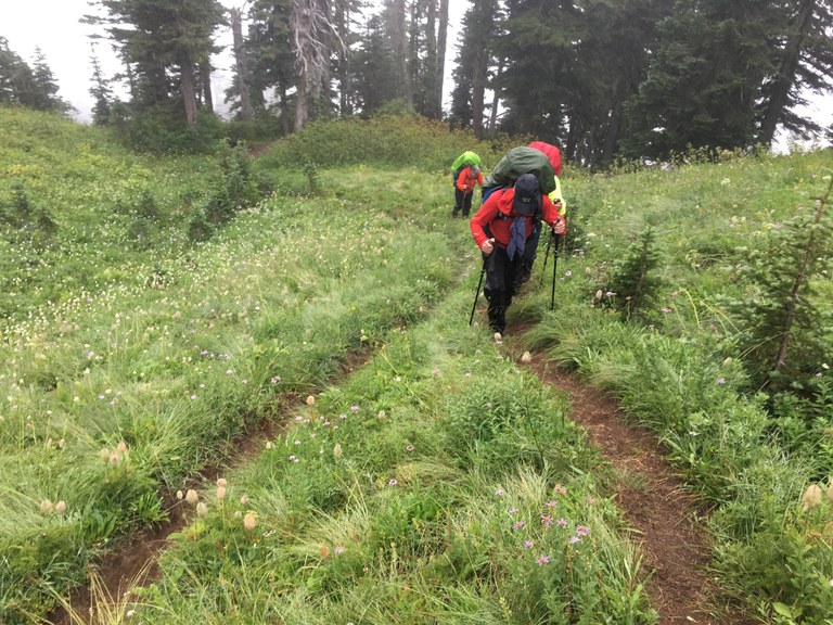 A volunteer climbs up a steep section of trail on a BCRT. Photo by Ryan Ojerio. 