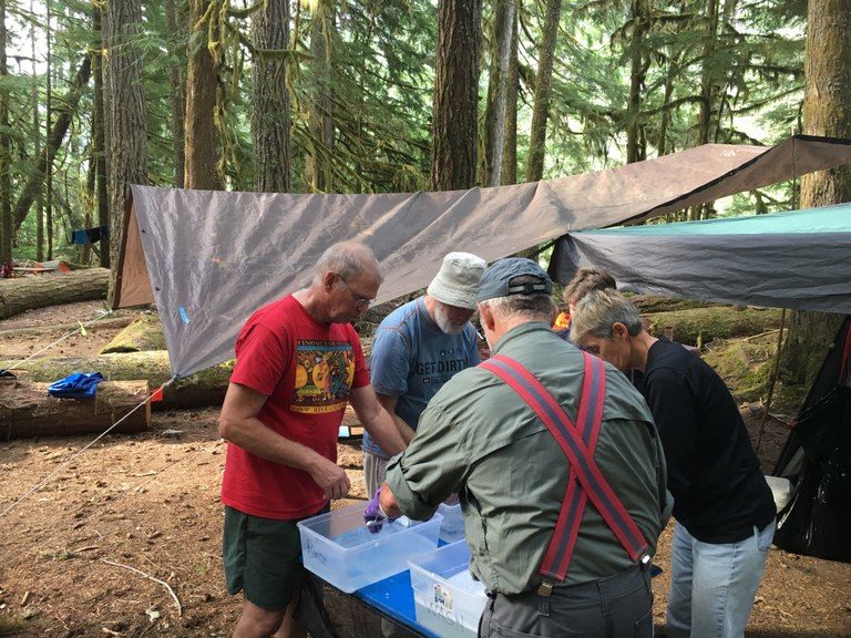 Volunteers work together to wash the dishes after a delicious meal. 