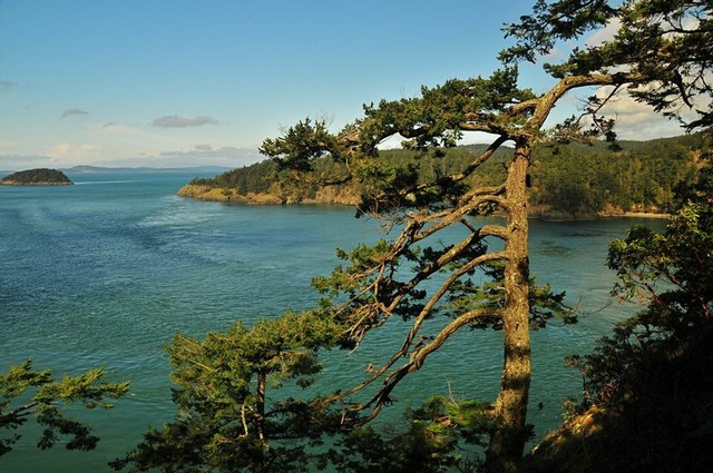 Stellar views of Deception Pass are just one highlight of hiking to Goose Rock in Deception Pass State Park. Photo by Bob and Barb. 