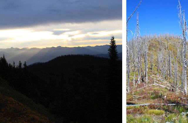 Near the Shedroof Divide, Thunder Creek trail leads to gorgeous views of the Salmo-Priest. Photo by Holly Weiler. 