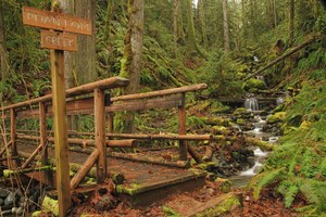 Steam Donkey Trail bridge sign
