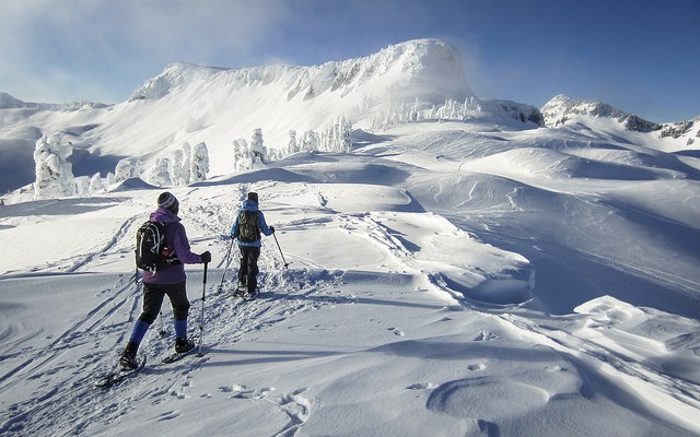 Mount Baker Snowshoe 