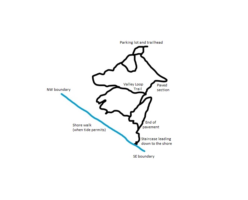 Hand-drawn map of Marine View Park by Ken Giesbers. 