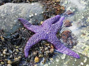 Gazzam Lake and Close Beach