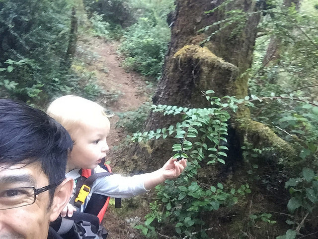 A backpack ride might allow your little one to examine plants he or she can't reach normally. Photo by Ryan Ojerio. 