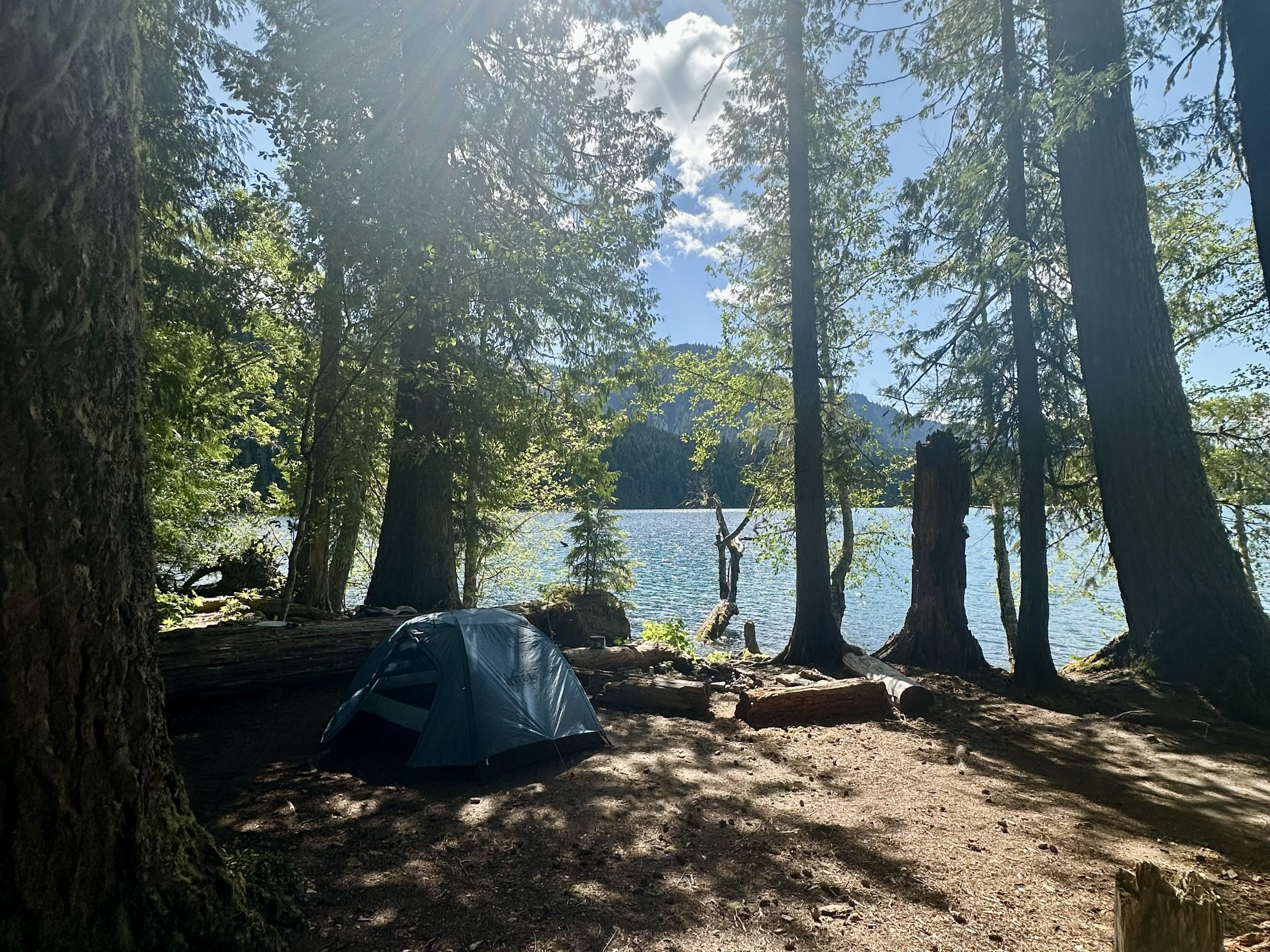 Packwood Lake. Photo by heidi_. A tent at a campsite at Packwood Lake. Photo by trip reporter heidi_.