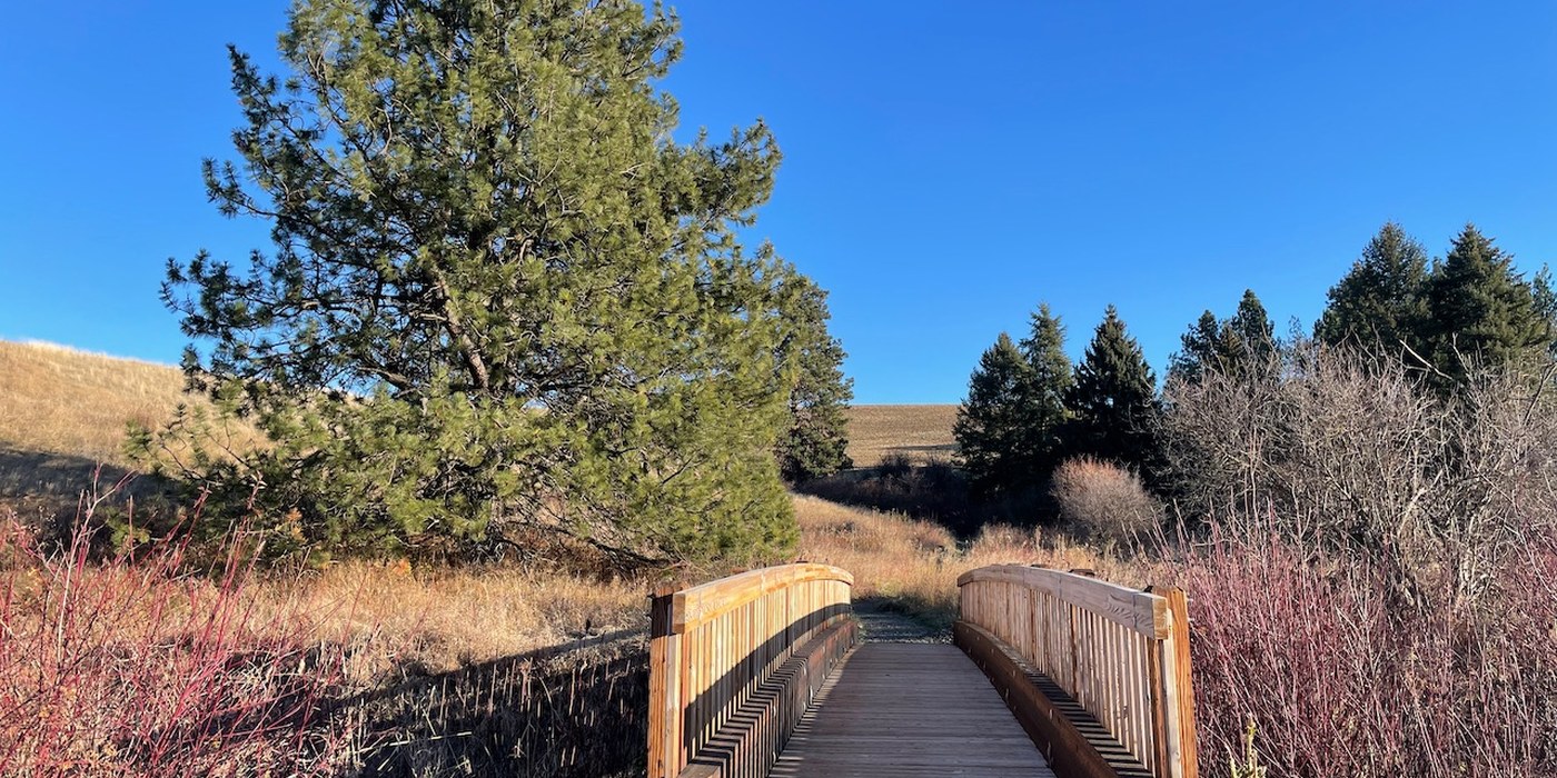 rose creek nature preserve_richp.jpeg