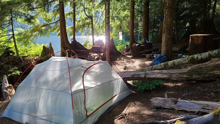 A peaceful campsite in the woods at sunrise. 