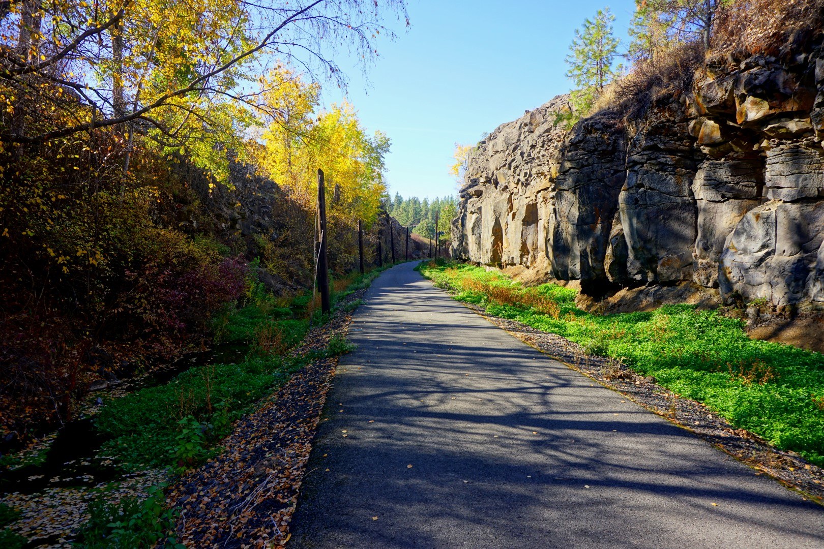 Columbia Plateau Trail by Mary Weathers.jpeg