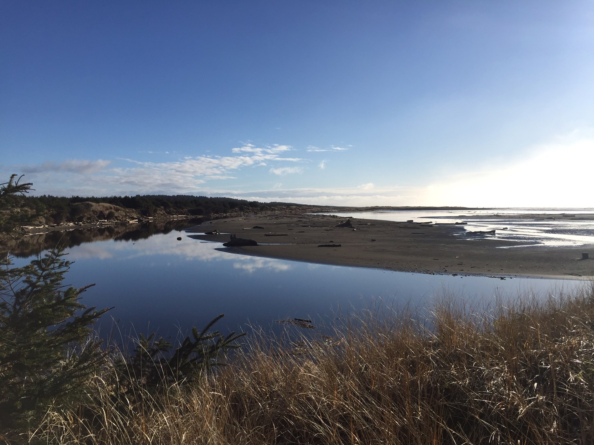 Copalis Spit by naturegirlangie.jpeg