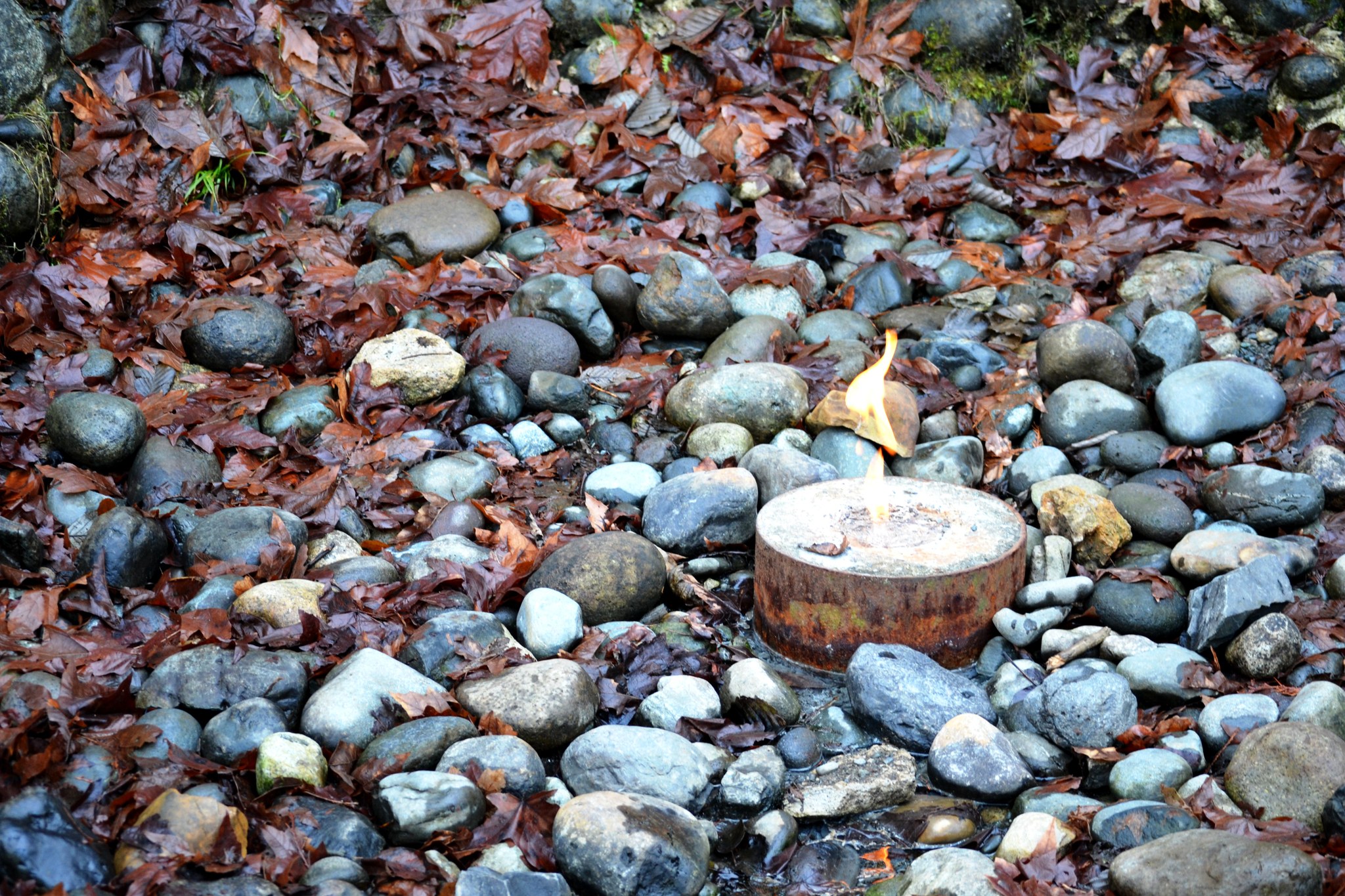 Flaming Geyser State Park by little burro.jpeg