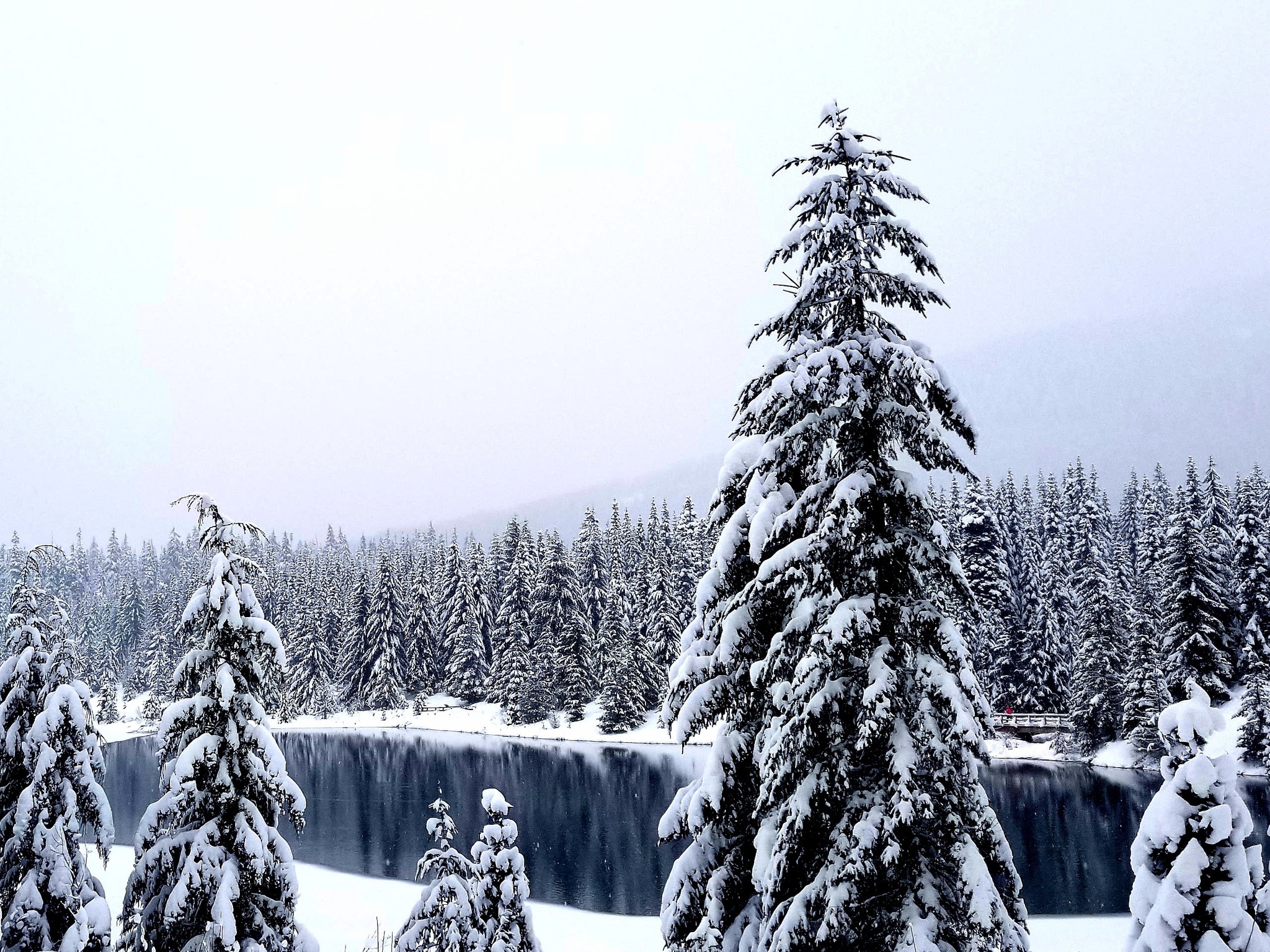 Gold Creek Pond by Daviddental.jpeg