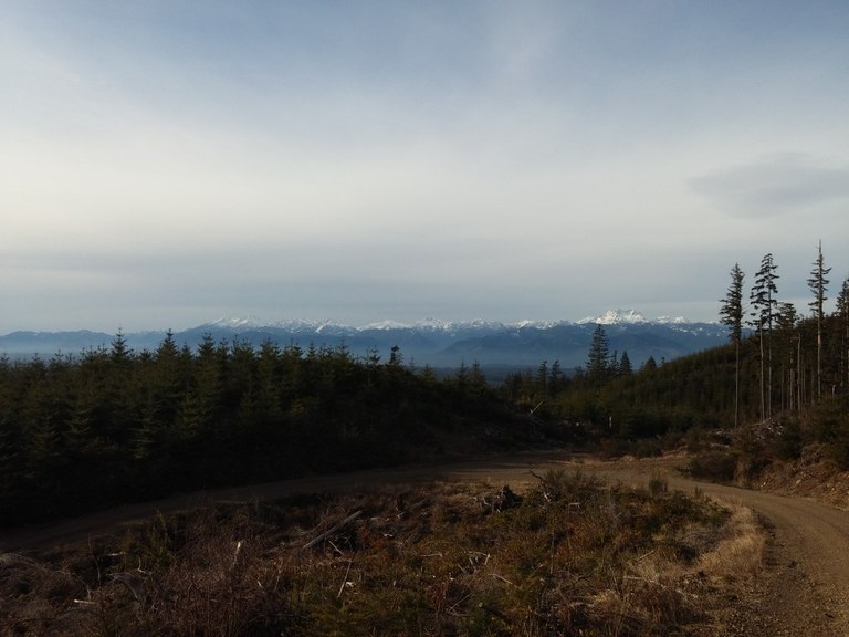 Gold Mountain Photo by Drew B..jpeg