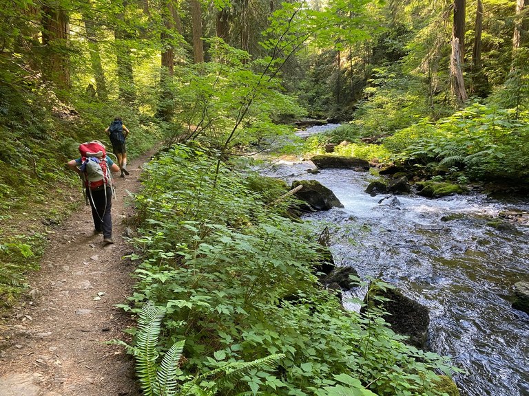 A young kid wearing a backpack heads in on the Greenwater Trail, next to a burbling river. 
