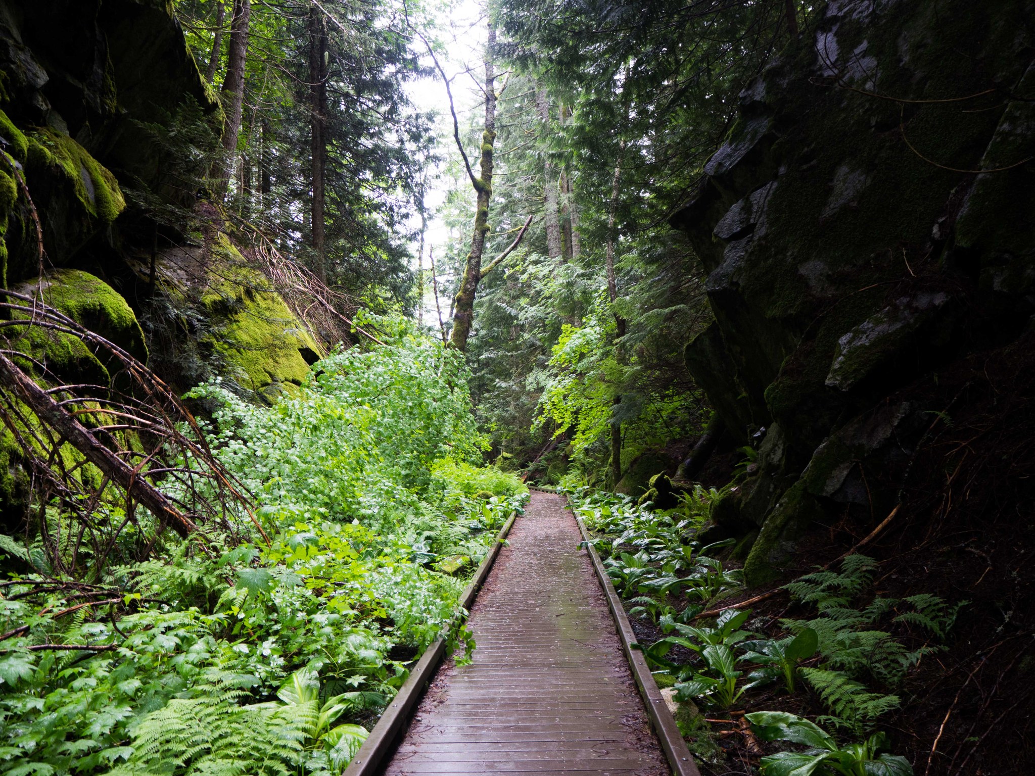 Iron Goat Trail by RacingSnail.jpeg