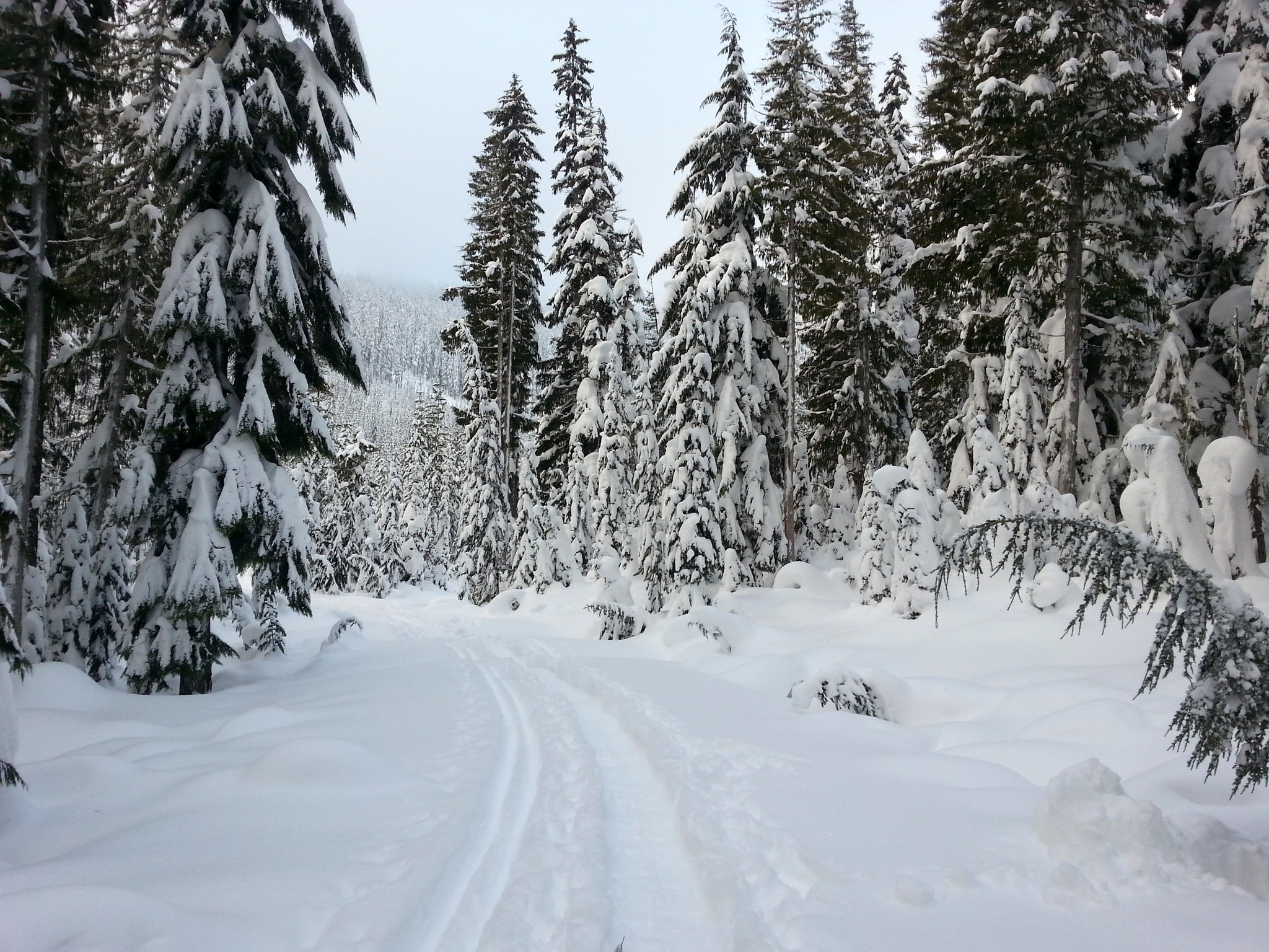 Maintenance Shed Road by AllOfUs.jpeg