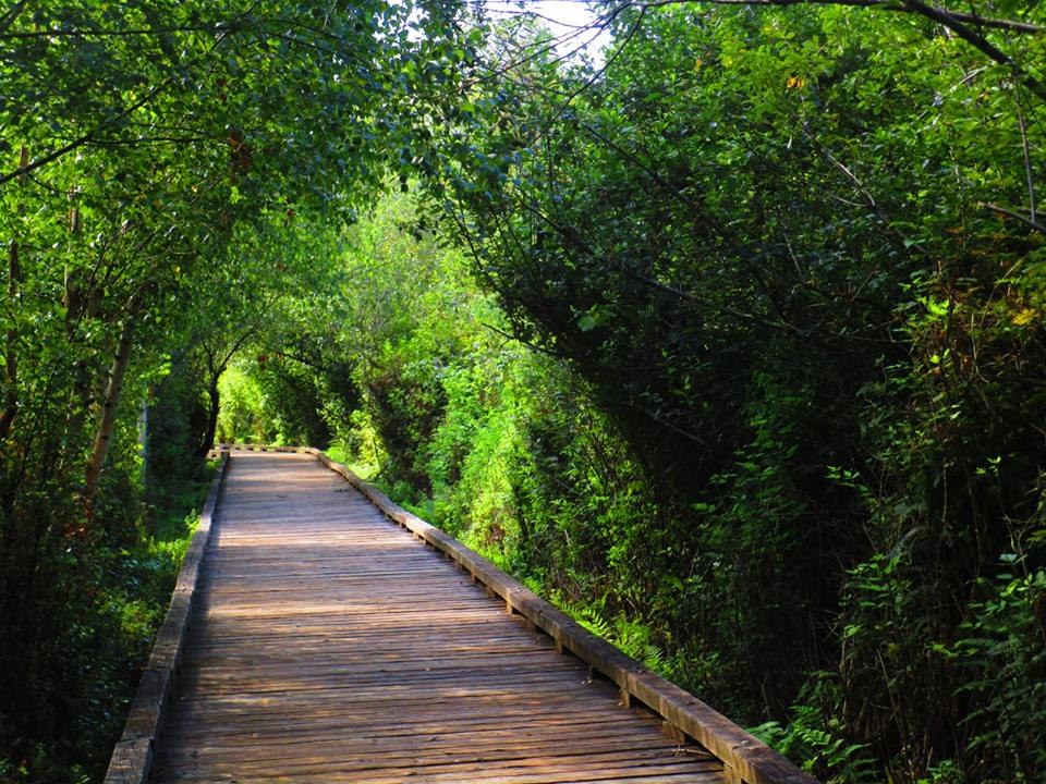 Mercer Slough by GaryinZion.jpeg