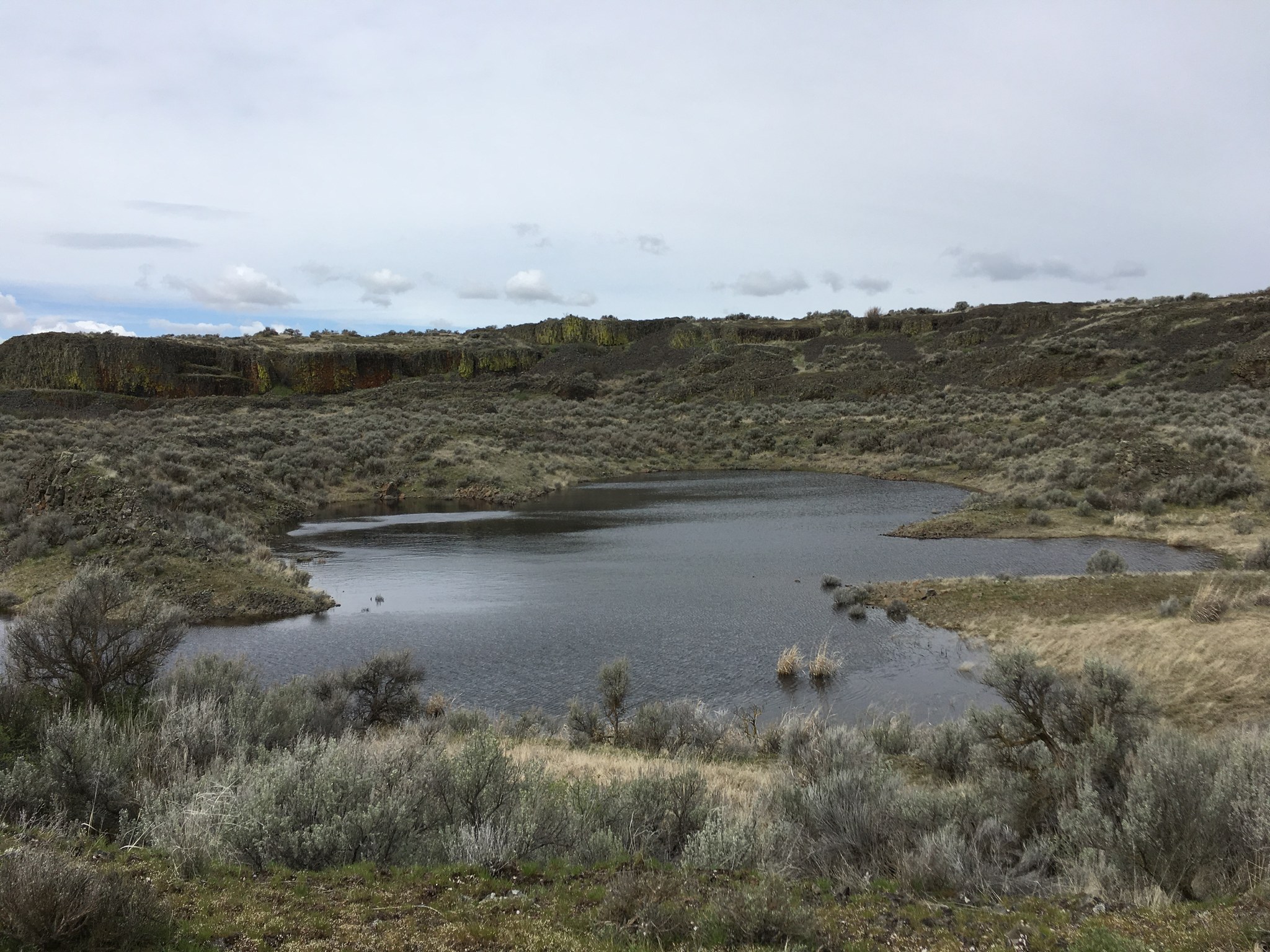 Odessa Craters by PNWStellaDog.jpeg Odessa Craters by PNWStellaDog.jpeg