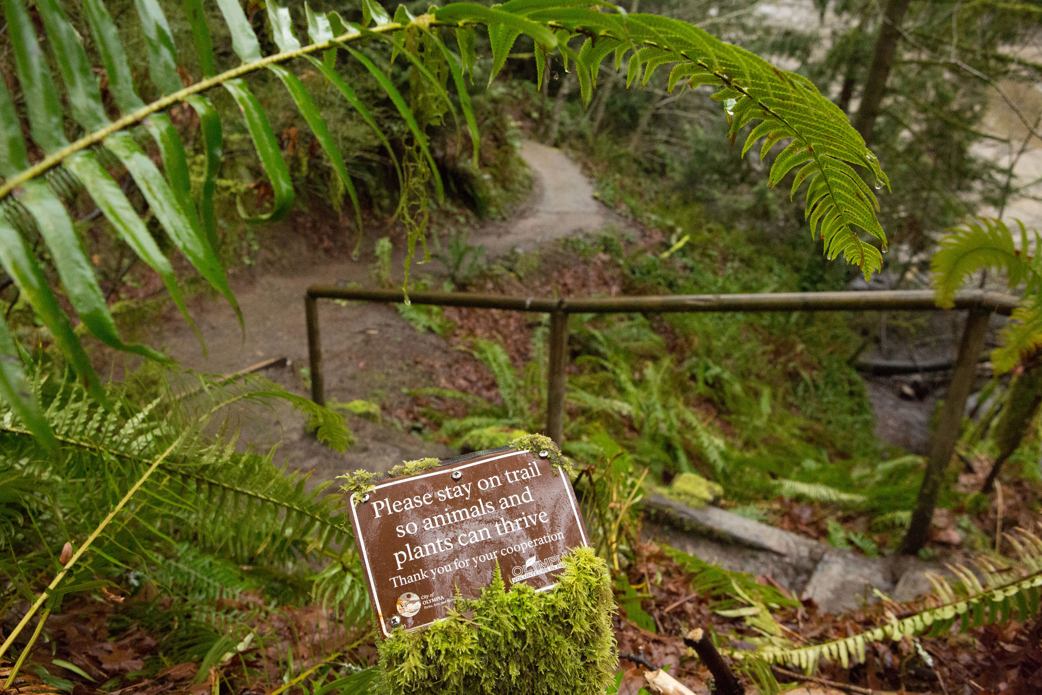 Priest Point by Emma Cassidy.jpg