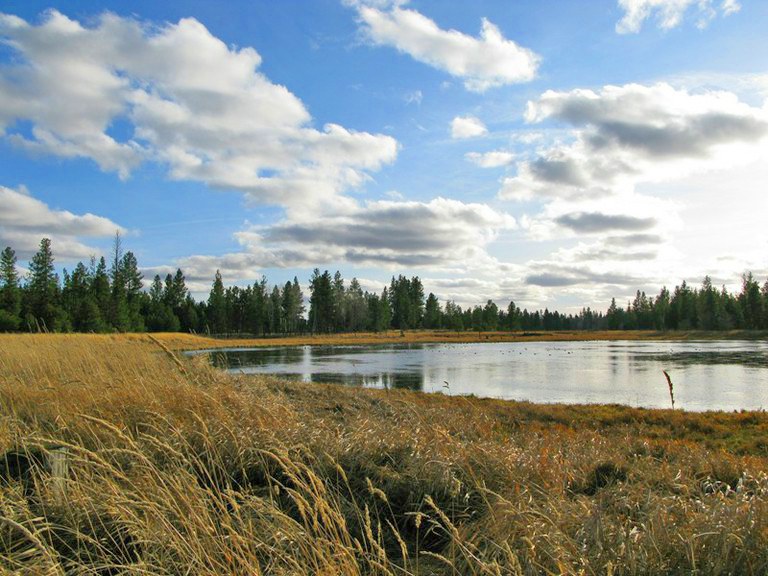 Slavin Pond by mtnweasel.jpeg Slavin Pond by mtnweasel.jpeg