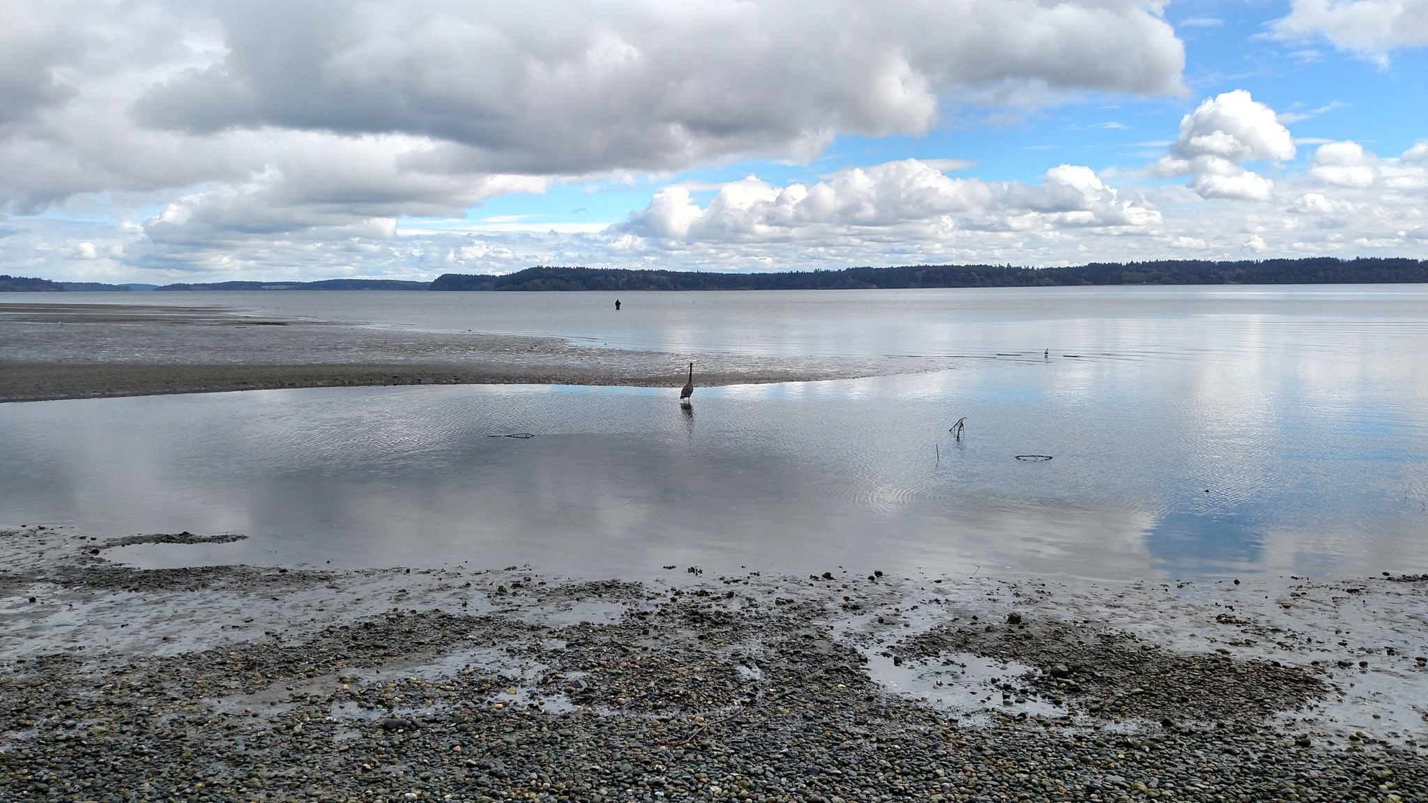 Tolmie State Park by Doug H.jpeg