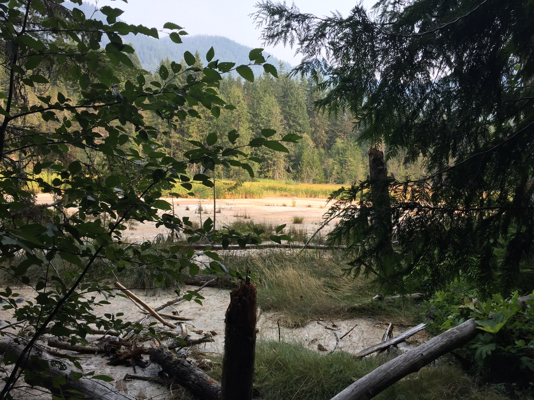 Trail of the Shadows by Jennekehikes.jpeg