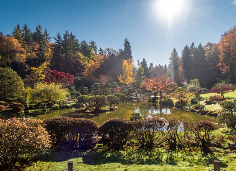 Washington Park Arboretum Photo by Hiking Nerds.jpeg