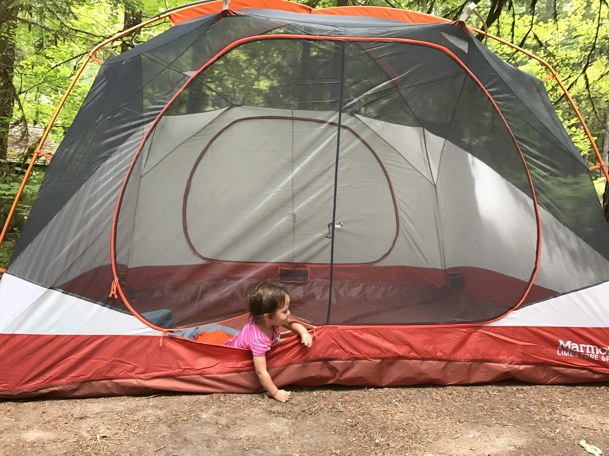 Ohanapecosh Campground by Annie Nguyen.jpg