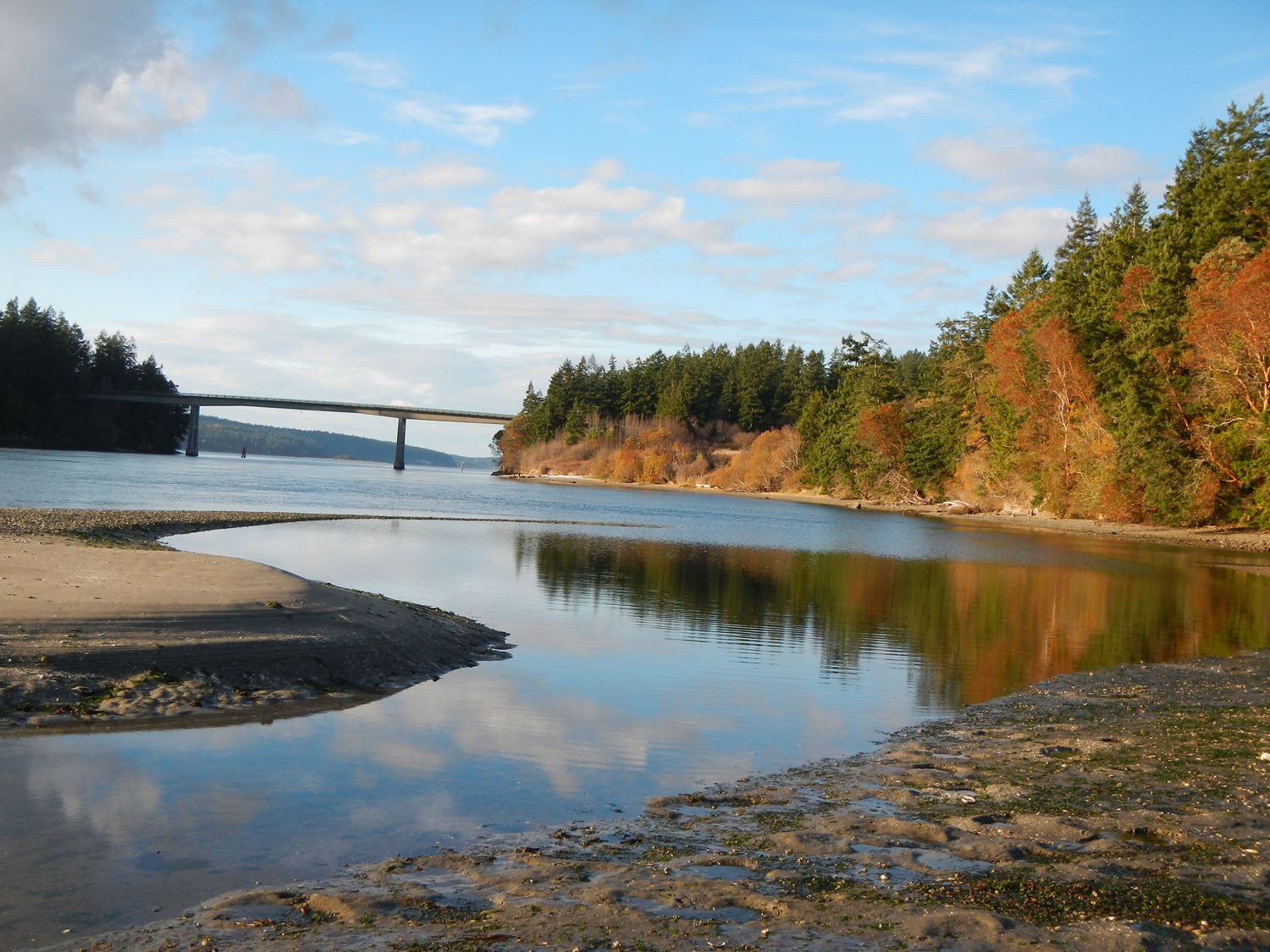 South Indian Island by mandarita.jpeg