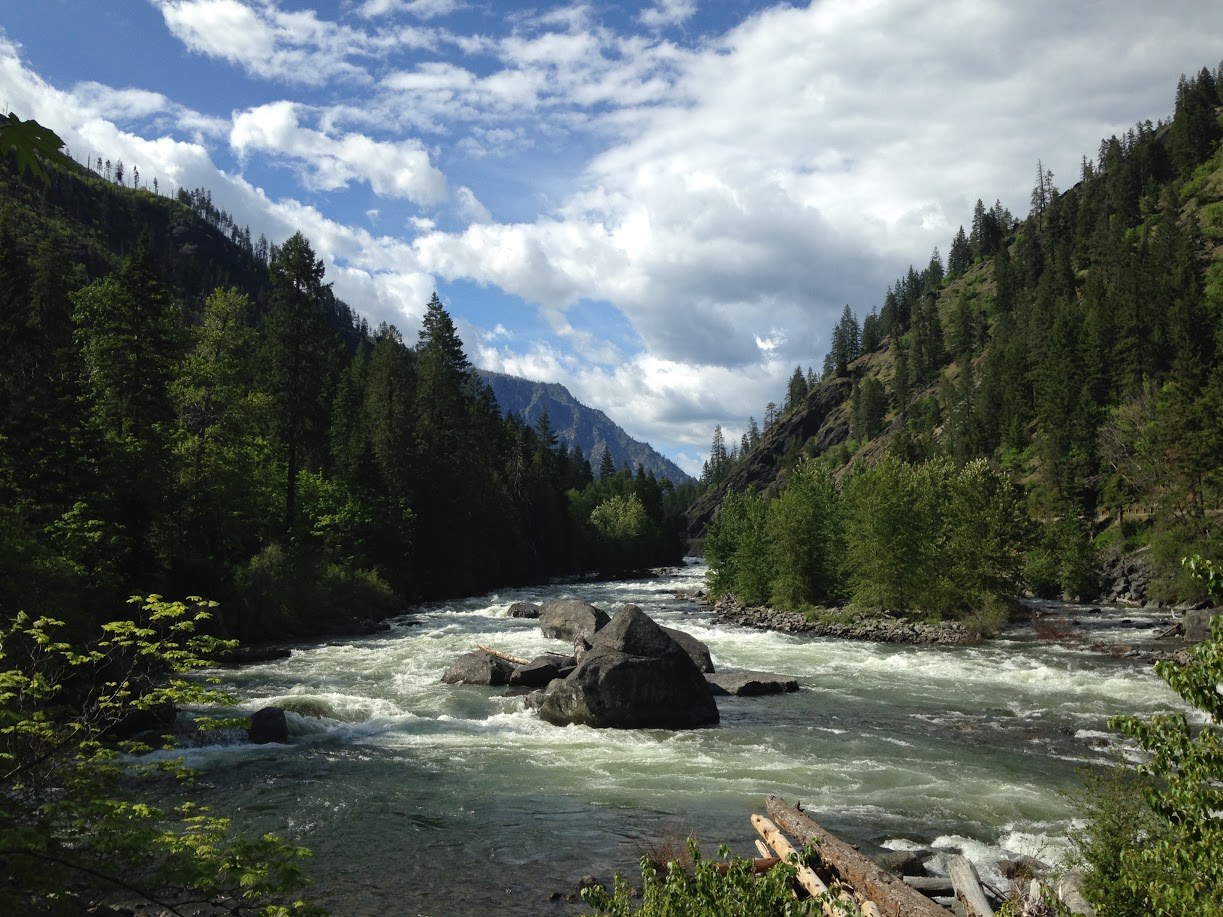 Tumwater Pipeline Trail by Lukin66.jpeg