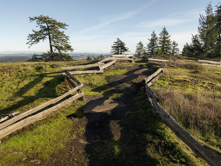 The summit view